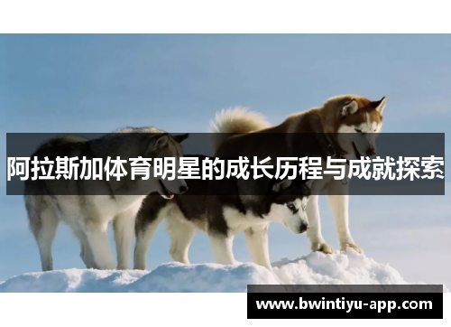 阿拉斯加体育明星的成长历程与成就探索