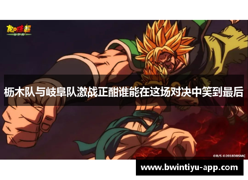 枥木队与岐阜队激战正酣谁能在这场对决中笑到最后