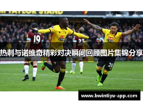 热刺与诺维奇精彩对决瞬间回顾图片集锦分享